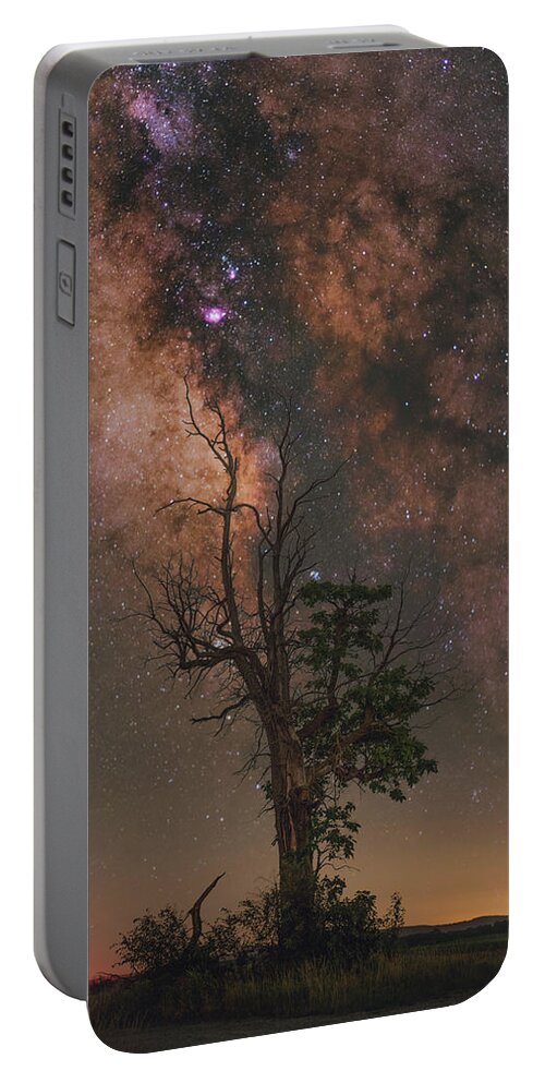 Nightscape Portable Battery Charger featuring the photograph Lone Tree by Grant Twiss