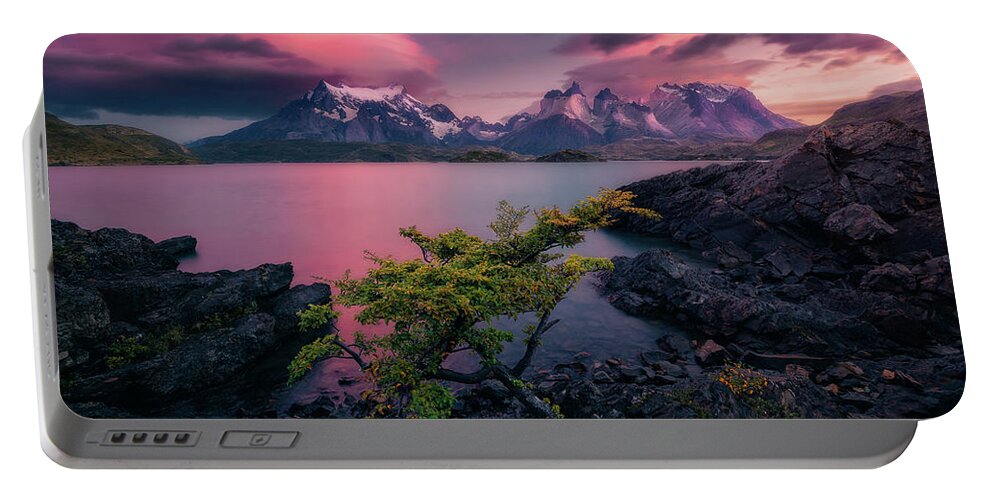 Patagonia Portable Battery Charger featuring the photograph Lone Tree by Henry w Liu