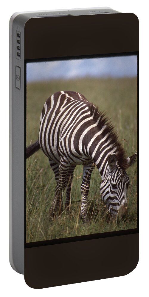 Africa Portable Battery Charger featuring the photograph Lone Zebra Eating grass by Russ Considine