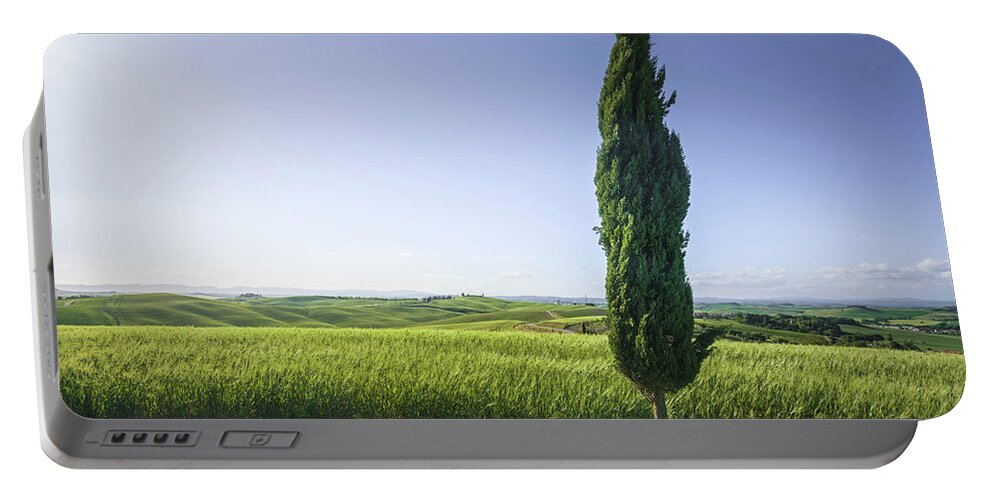 Francigena Portable Battery Charger featuring the photograph Lonely cypress tree along the via Francigena. Tuscany by Stefano Orazzini