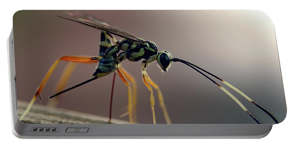 Insects Portable Battery Charger featuring the photograph Long Legged Alien by Jennifer Robin