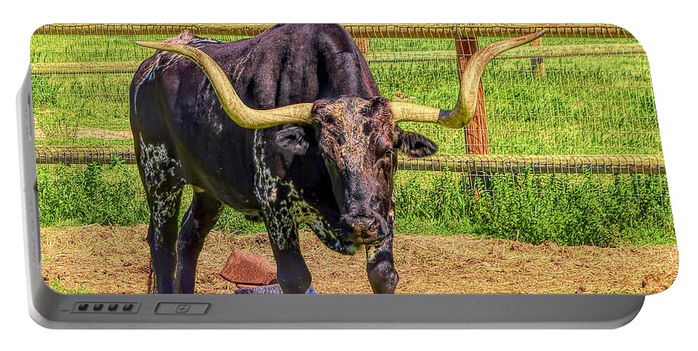 Bull Portable Battery Charger featuring the photograph Longhorn La Purisima Mission by Floyd Snyder