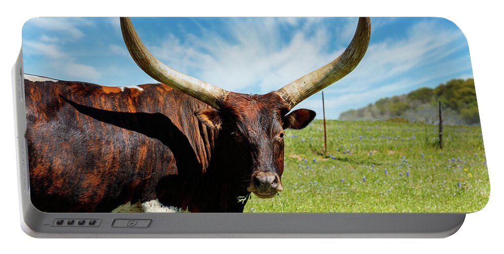 African Breed Portable Battery Charger featuring the photograph Longhorns by Raul Rodriguez