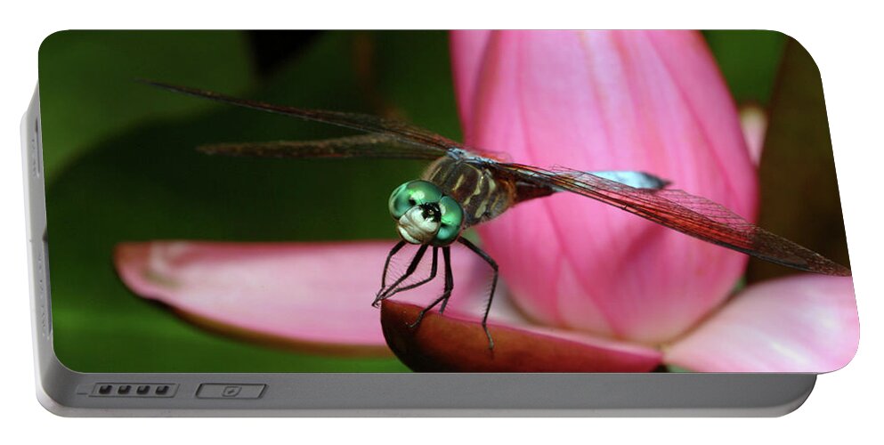 Dragonfly Portable Battery Charger featuring the photograph Look of a Dragonfly by Melissa Southern