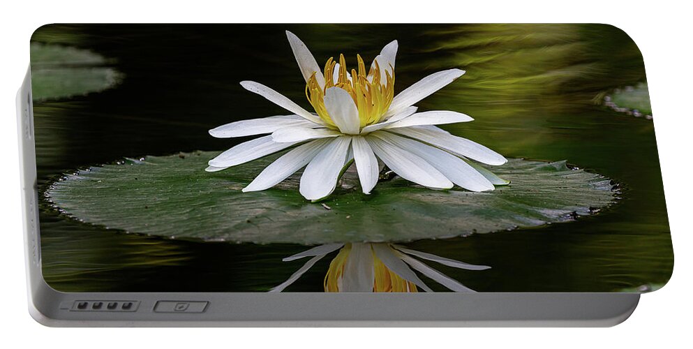 Flower Portable Battery Charger featuring the photograph Looking back at ya by Les Greenwood