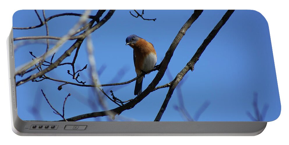  Portable Battery Charger featuring the photograph Looking Blue by Heather E Harman