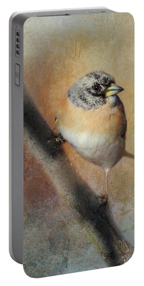 Photography Portable Battery Charger featuring the digital art Looking Outward by Terry Davis