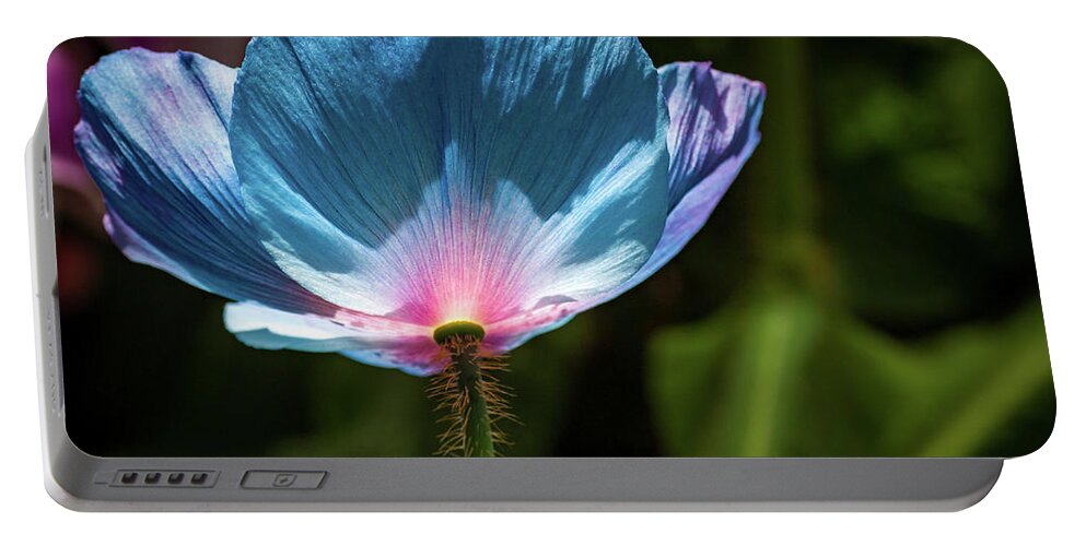Flowers/plants Portable Battery Charger featuring the photograph Looking up - Himalayan Blue Poppy by Louis Dallara