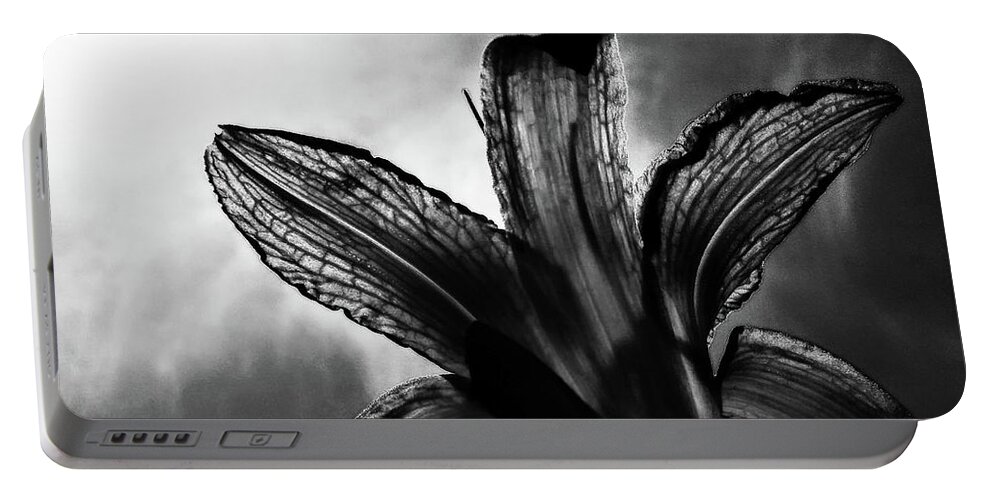 Daylily Silhouette Portable Battery Charger featuring the digital art Looking Up by Pamela Smale Williams