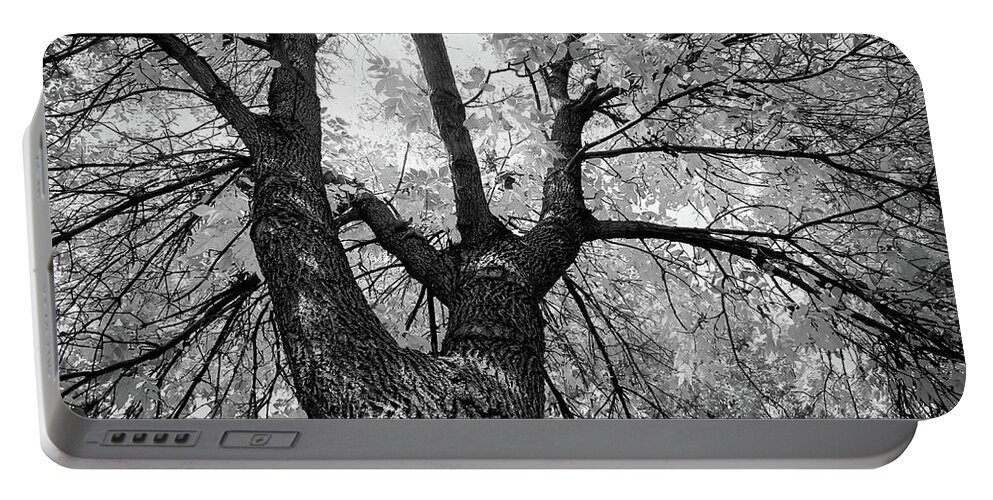 Landscape Portable Battery Charger featuring the photograph Looking Up by Susie Loechler