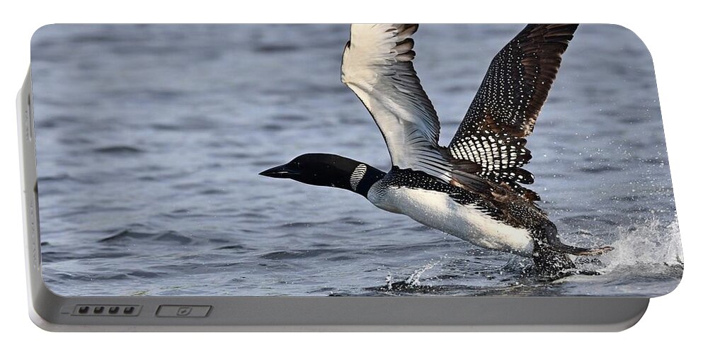 Birds Portable Battery Charger featuring the photograph Loon Liftoff by Steve Brown