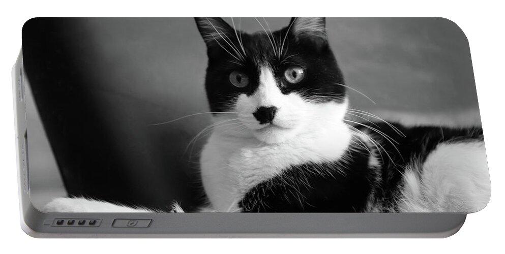 Cat Portable Battery Charger featuring the photograph Lord of the Manor bw by Bonnie Follett