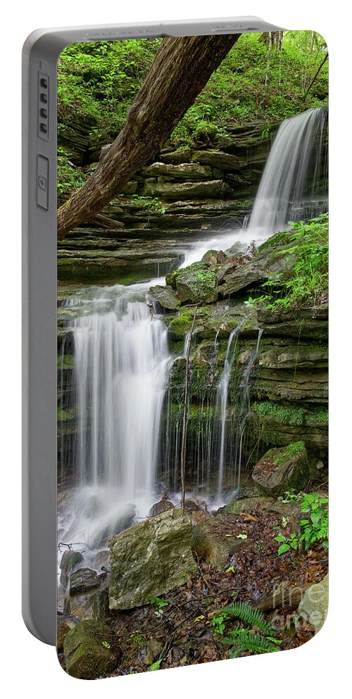 Cumberland Plateau Portable Battery Charger featuring the painting Lost Creek Falls 40 by Phil Perkins