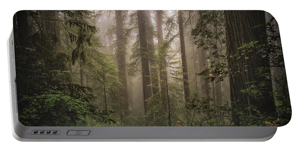 Redwoods Portable Battery Charger featuring the photograph Lovely, Dark, and Deep by Jason Roberts