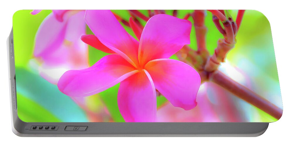 Lovely Portable Battery Charger featuring the photograph Lovely Plumeria by David Lawson