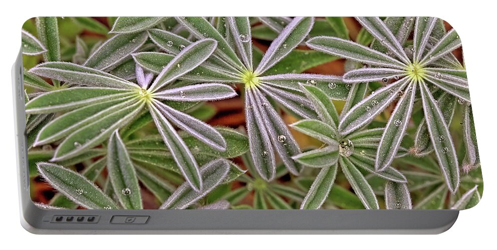 Lupine Portable Battery Charger featuring the photograph Lupine Leaves by Bob Falcone
