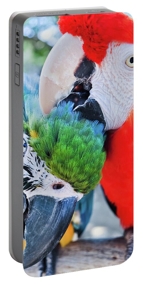Free Flight Portable Battery Charger featuring the photograph Macaw Lovers by Kyle Hanson