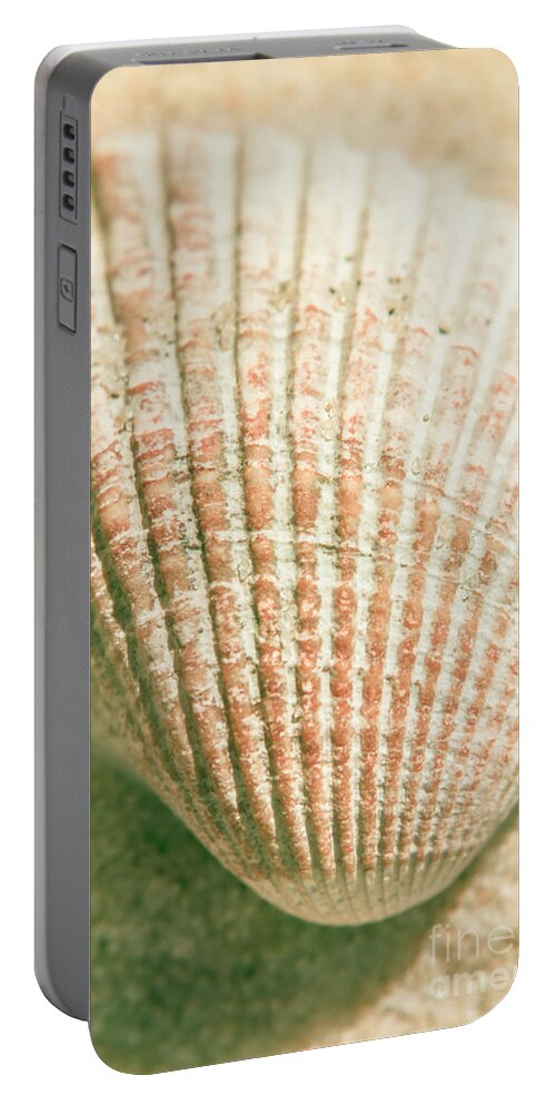 Macro Portable Battery Charger featuring the photograph Macro marine minimalism by Jorgo Photography