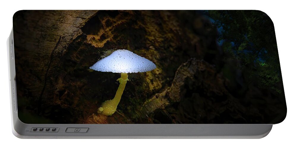 Mushrooms Portable Battery Charger featuring the photograph Magic Mushroom by Mark Andrew Thomas