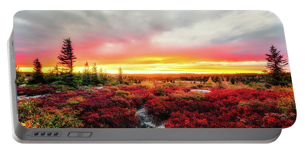 Landscape Portable Battery Charger featuring the photograph Magic of Autumn by C Renee Martin