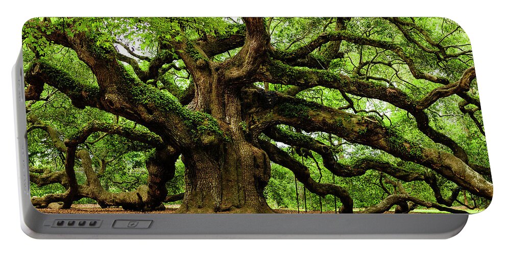 Charleston Tree Angel Oak South Carolina Johns Island Leaves Angel Oak Tree Live Oak Nature Trees Landscape Green Oak Tree Branches Moss Low Country Portable Battery Charger featuring the photograph Magnificent Angle Oak 2 by Louis Dallara
