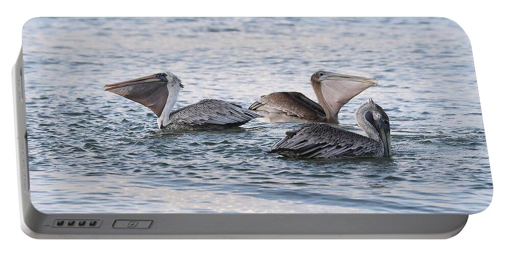 Pelicans Portable Battery Charger featuring the photograph Magnificent Throat Pouch 7 by Mingming Jiang