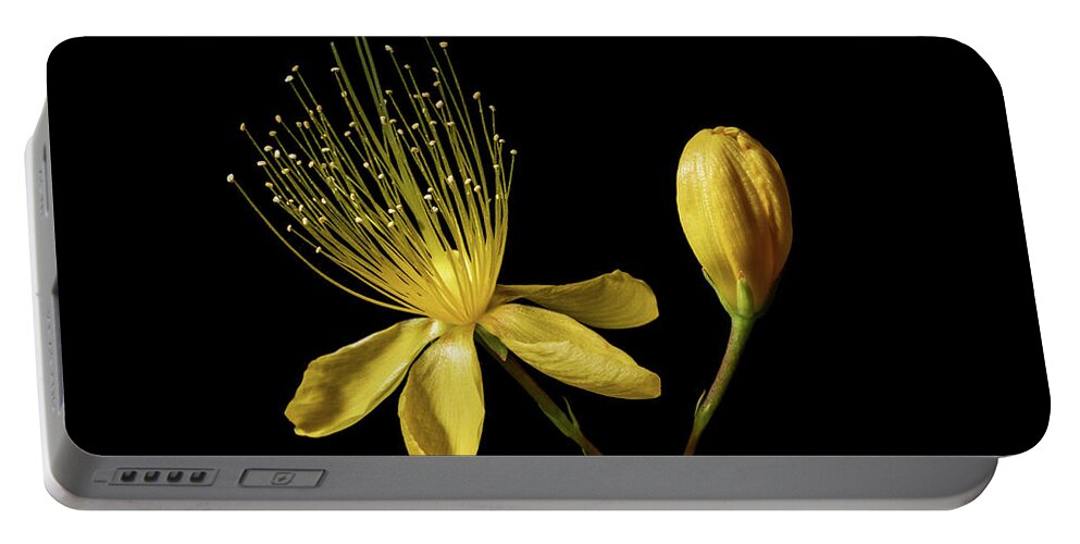 Flower Portable Battery Charger featuring the photograph Magnificent Yellow Wildflower and Bud by Stan Weyler