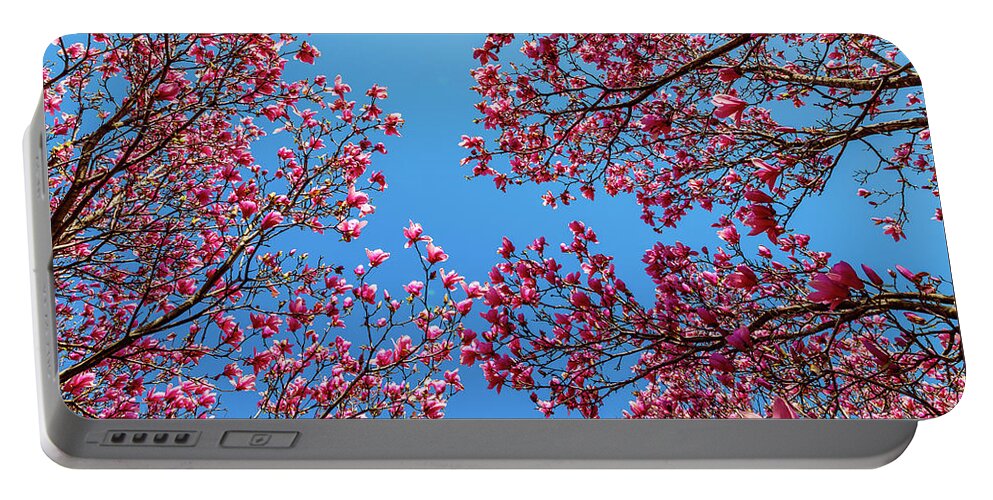 Magnolia Portable Battery Charger featuring the photograph Magnolia by David Beechum