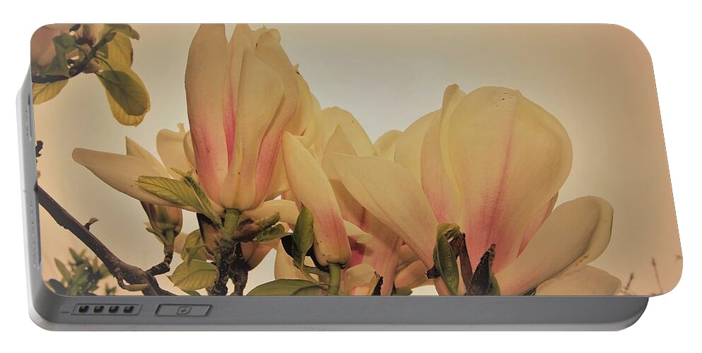Magnolia Portable Battery Charger featuring the photograph Magnolia Duo by Loretta S