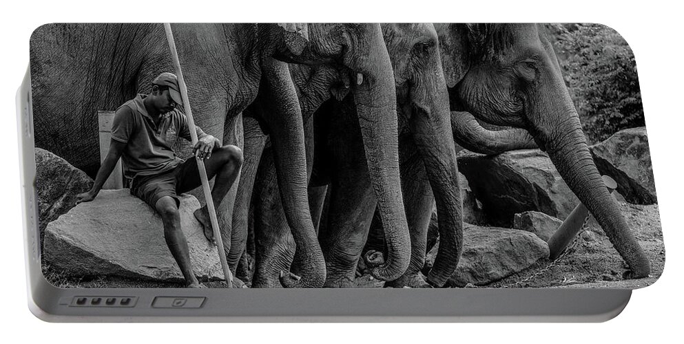 Elephant Portable Battery Charger featuring the photograph Mahout and the Elephants by Arj Munoz