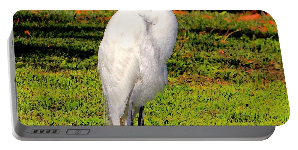 Egret Portable Battery Charger featuring the photograph Majestic Bird by Andrew Lawrence