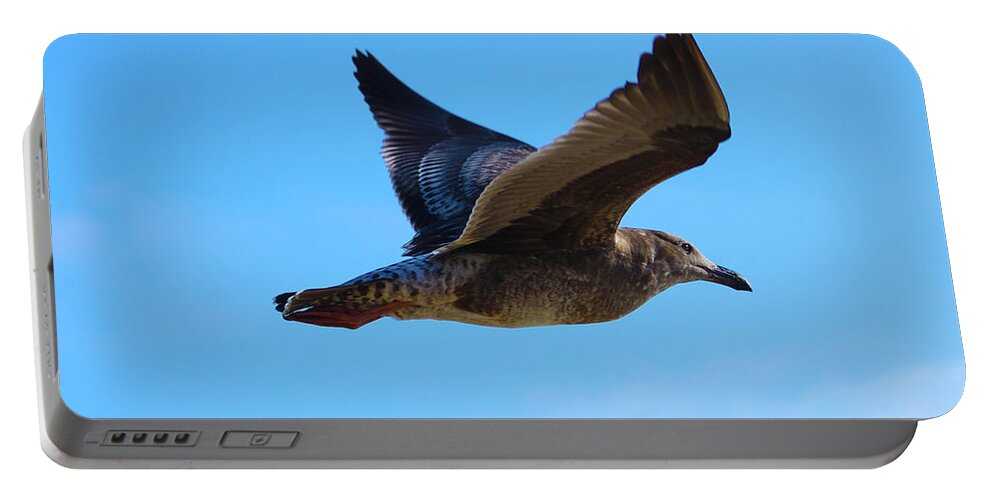 Birds Portable Battery Charger featuring the photograph Majestic Flight in the Sky by Marcus Jones