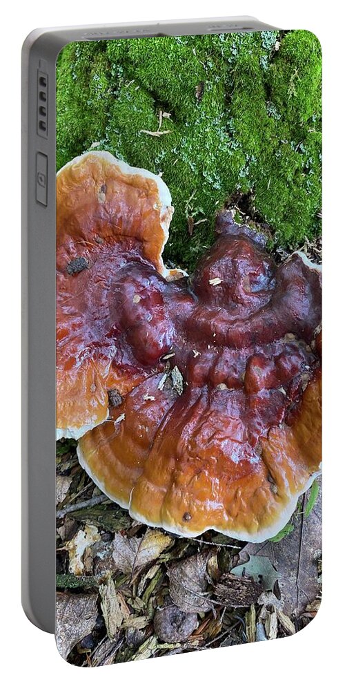Mushroom Portable Battery Charger featuring the photograph Majestic Mushrooms #33 by Anjel B Hartwell