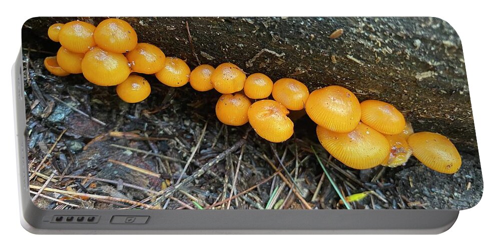 Mushrooms Portable Battery Charger featuring the photograph Majestic Mushrooms #96 by Anjel B Hartwell