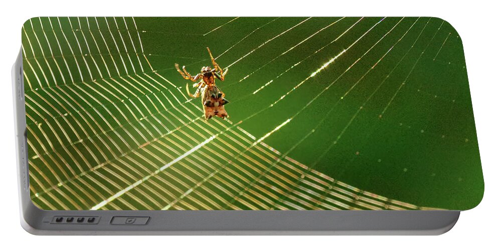Spider Portable Battery Charger featuring the photograph Making the spider web by Buddy Scott