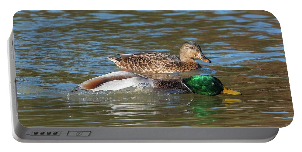 Nature Portable Battery Charger featuring the photograph Mallard Drake Power Swimming DWF0208 by Gerry Gantt