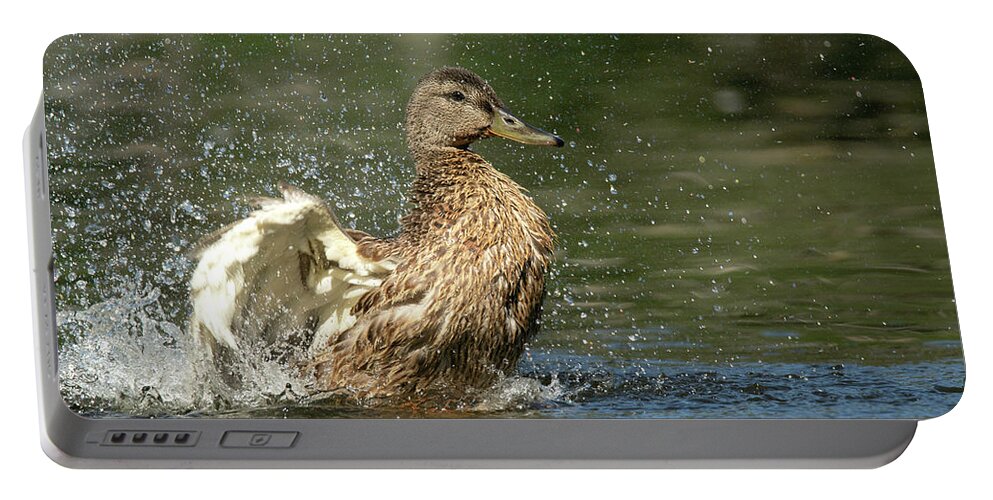 Mallard Portable Battery Charger featuring the photograph Mallard Hen Duck Splashing in Water by Nikki Vig