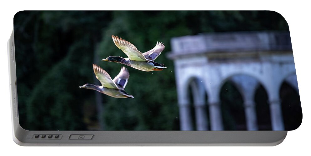 Mallard Ducks Portable Battery Charger featuring the photograph Mallards Take Flight 3 by Kevin Suttlehan