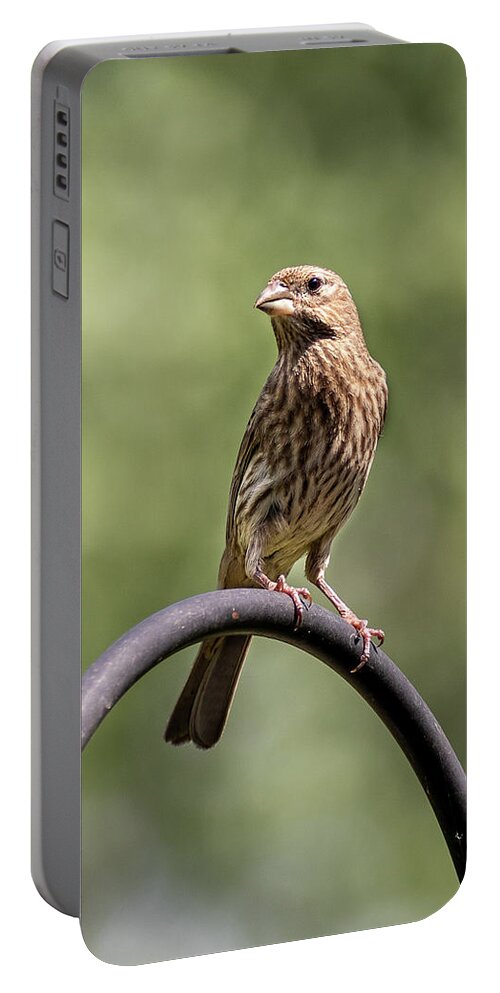 Bird Portable Battery Charger featuring the photograph Mama Bird by David Beechum