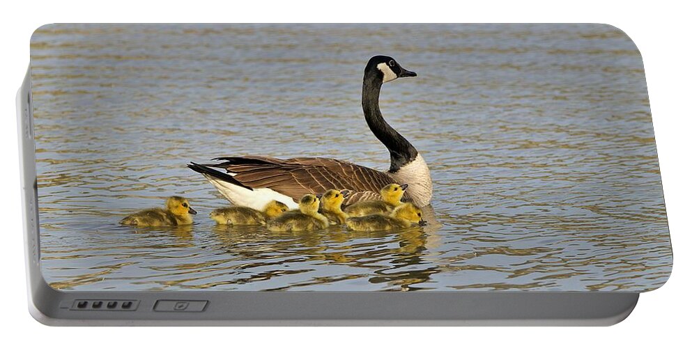 Goslings Portable Battery Charger featuring the photograph Mama Goose and Goslings by Yvonne M Smith