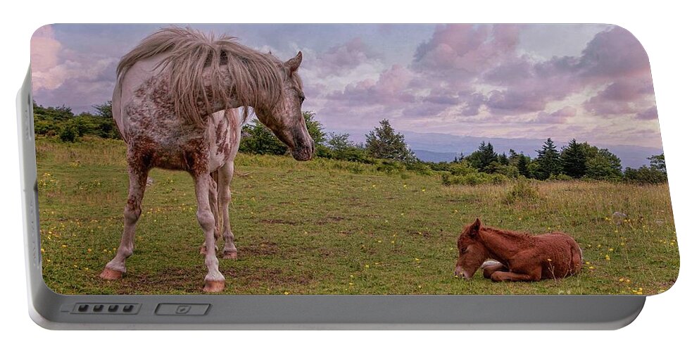 Horse Portable Battery Charger featuring the photograph Mamma and Foal by Laurinda Bowling