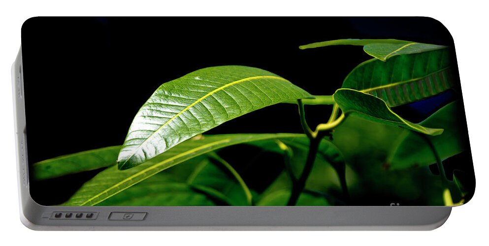 2118f Portable Battery Charger featuring the photograph Mango Leaf Perfection by Al Bourassa