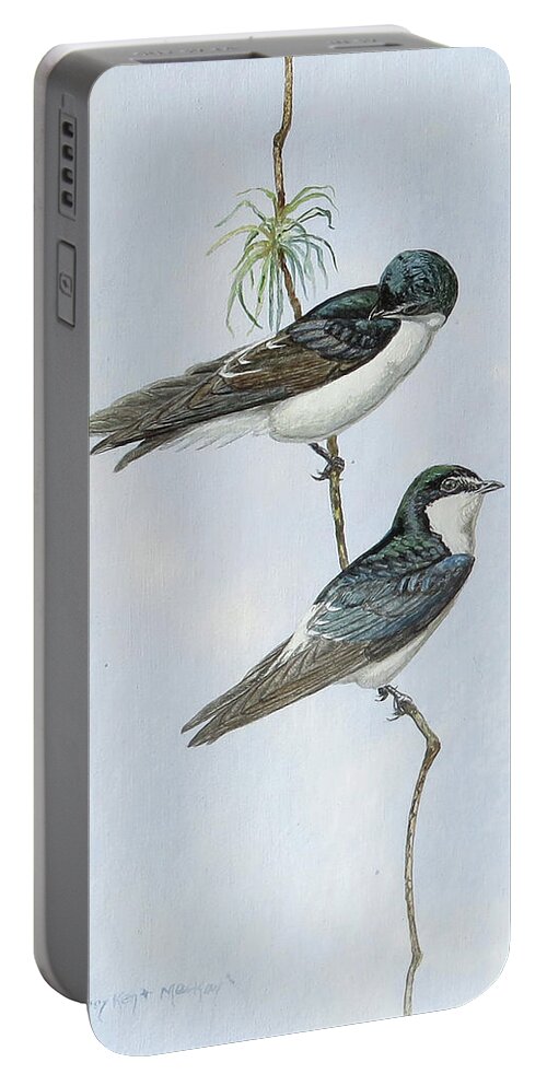 Mangrove Swallow Portable Battery Charger featuring the painting Mangrove Swallow by Barry Kent MacKay