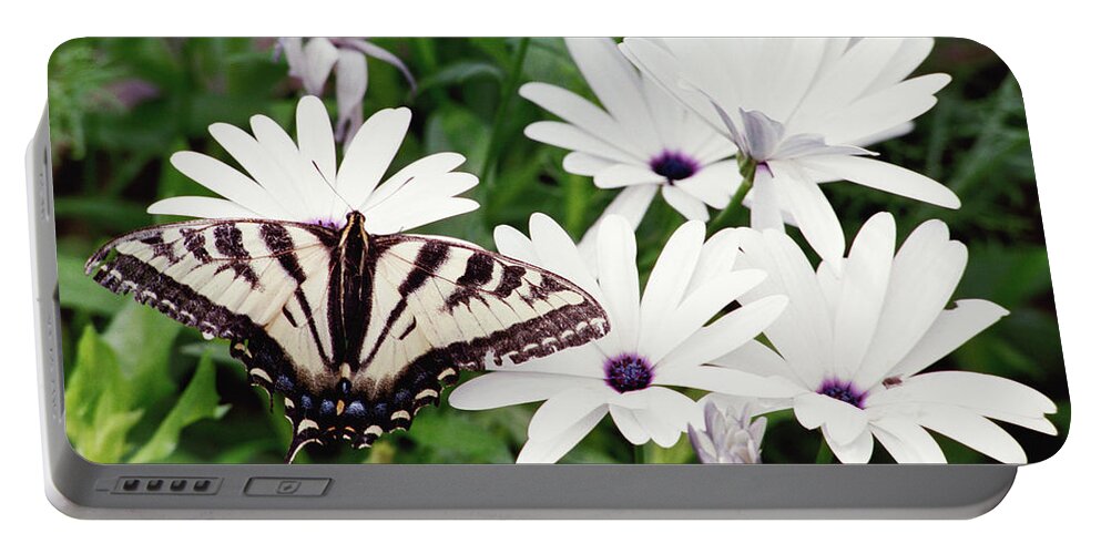 Flowers Portable Battery Charger featuring the photograph Mariposa and Daisies by Bonnie Colgan