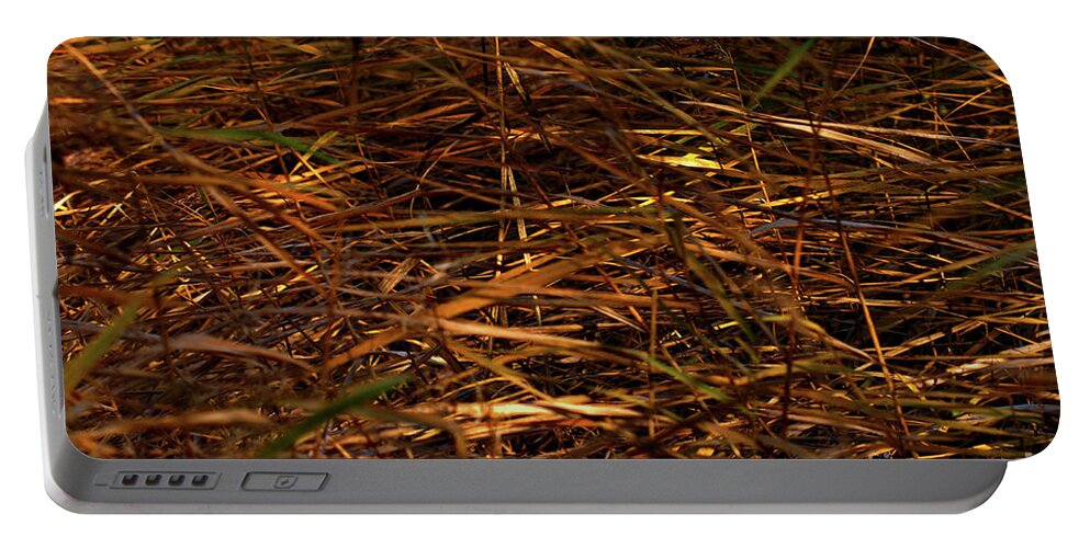 Abstract Portable Battery Charger featuring the photograph Marsh Grasses in the breeze by Stephen Melia