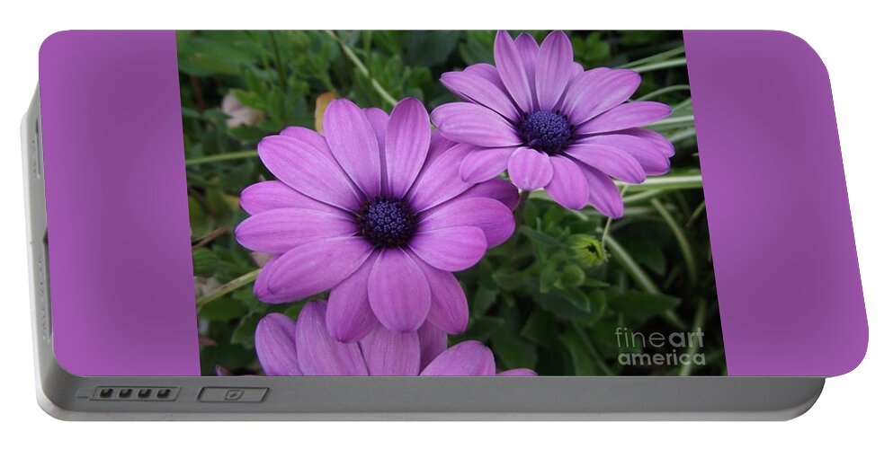 Flowers Portable Battery Charger featuring the photograph Mauve Muses by Kimberly Furey