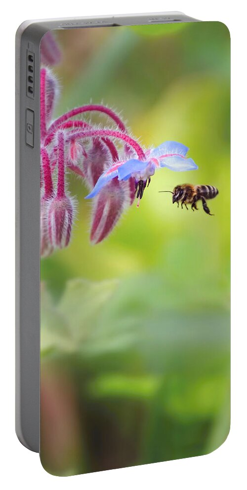 Macro Portable Battery Charger featuring the photograph Meadow life 22 by Jaroslav Buna