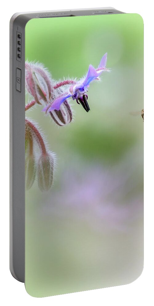 Macro Portable Battery Charger featuring the photograph Meadow life 25 by Jaroslav Buna