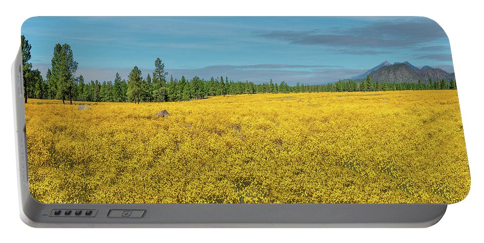 Arizona Portable Battery Charger featuring the photograph Meadow of Yellow Wildflowers by Jeff Goulden