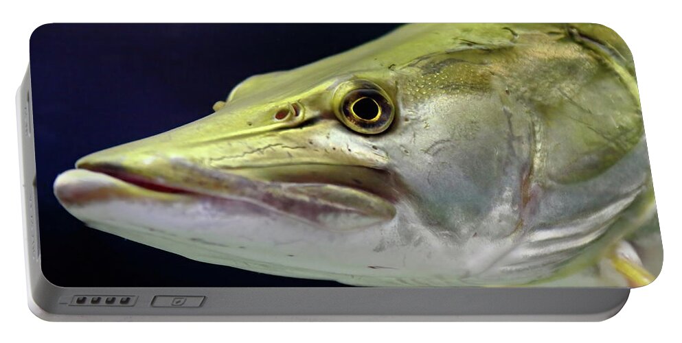 Fishing Portable Battery Charger featuring the photograph Mean Muskie by Lens Art Photography By Larry Trager